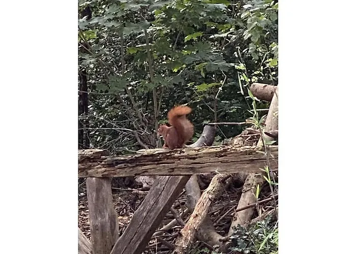 Semesterbostad With 2 Bedrooms *